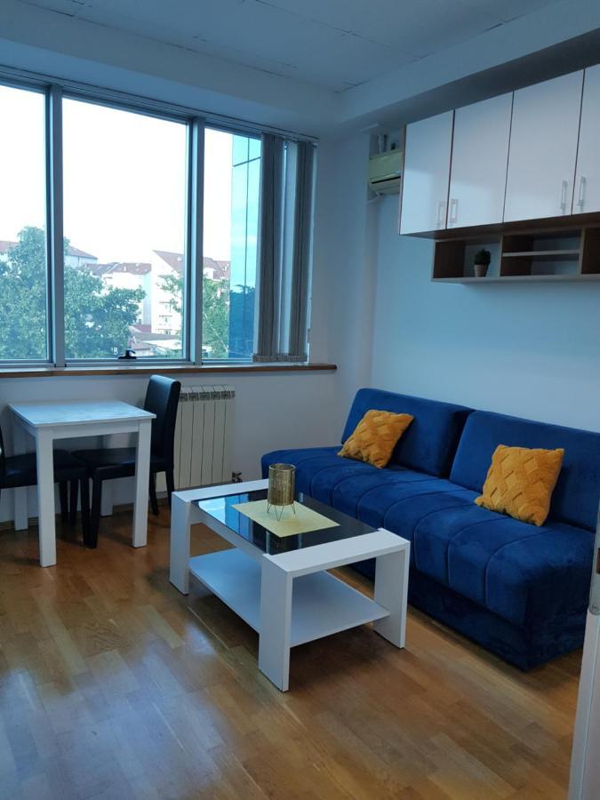 Central Apartment With 24-7 Building Security نوفي ساد المظهر الخارجي الصورة