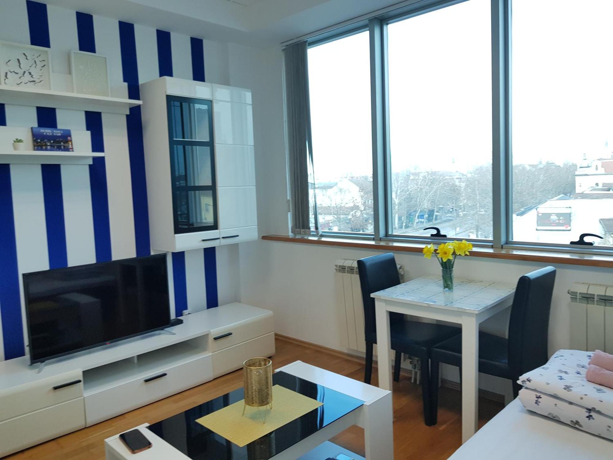 Central Apartment With 24-7 Building Security نوفي ساد المظهر الخارجي الصورة