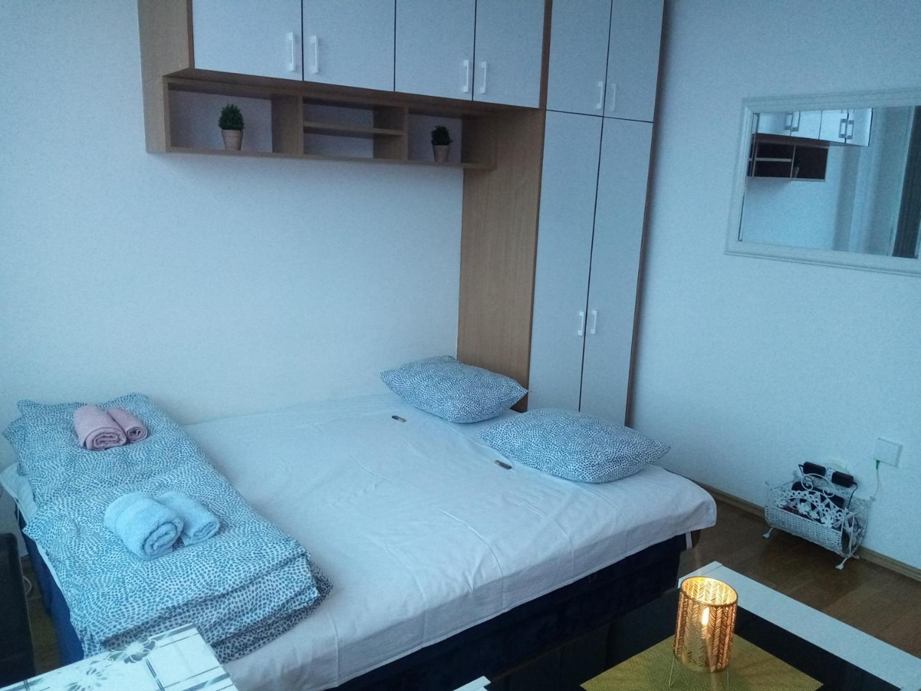 Central Apartment With 24-7 Building Security نوفي ساد المظهر الخارجي الصورة